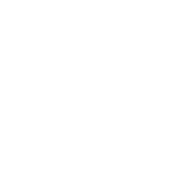 Automotive & Transportation